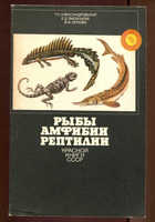  - предпросмотр