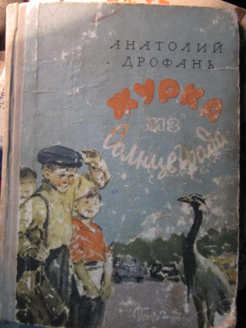 Журка из Солнцеграда