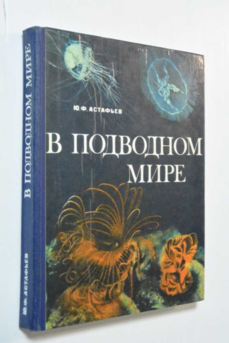 В подводном мире