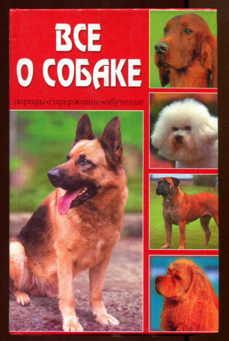 Копирайтинг как не съесть собаку оглавление. Список покупок для щенка. Кличка для щенка. Нескучное руководство по воспитанию собак. Книги содержание собак.