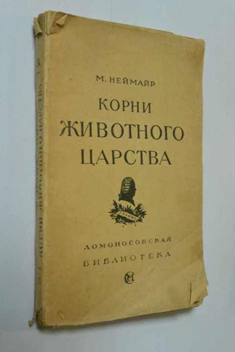 Звериный корень. Корни книга. Зверь корень. Рассказ корешки о животных.