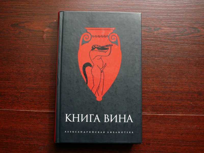 Книга моя вина. Книга вина. Книга вина Амфора обложка. 