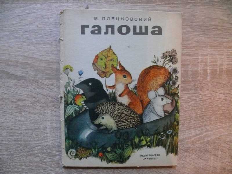 Галоша книга.