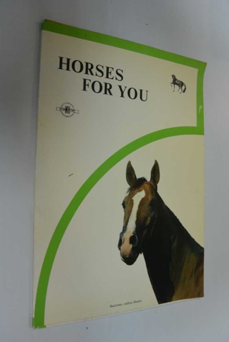 Horses for you. / Лошади для вас