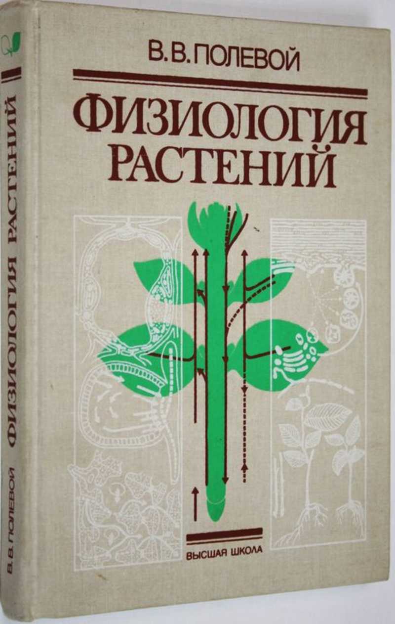 Физиология Растений Картинки