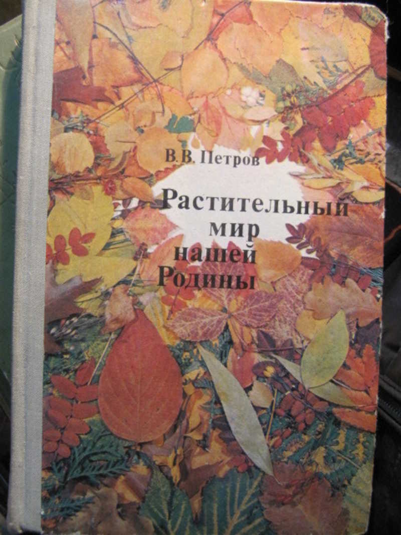 Растительный мир нашей Родины