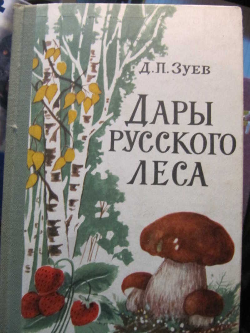 Дары русского леса