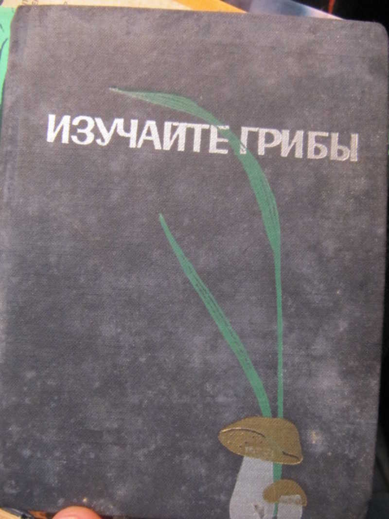 Изучайте грибы
