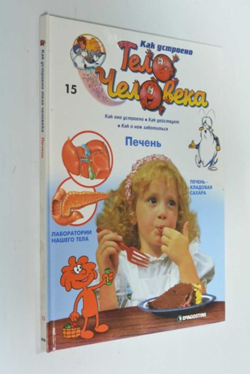 Как устроено тело человека. Печень