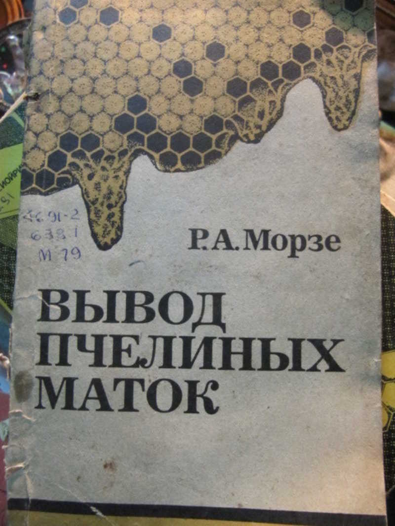 Вывод пчелиных маток
