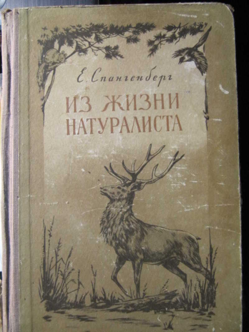 Спангенберг Записки натуралиста. Альбом натуралиста. Заметки натуралиста для детей.