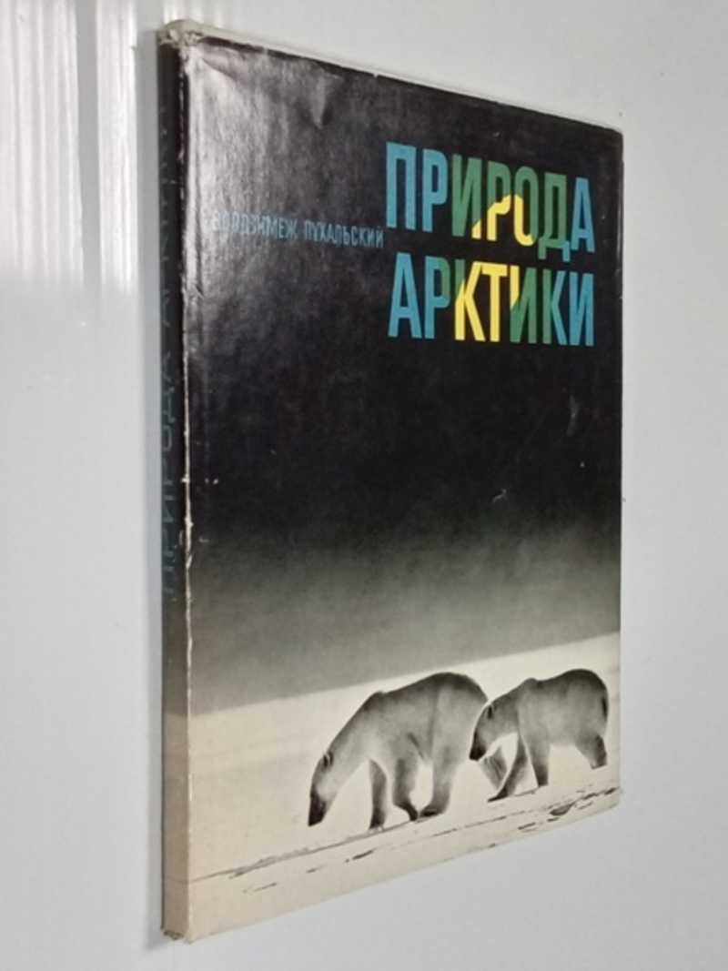 Природа Арктики