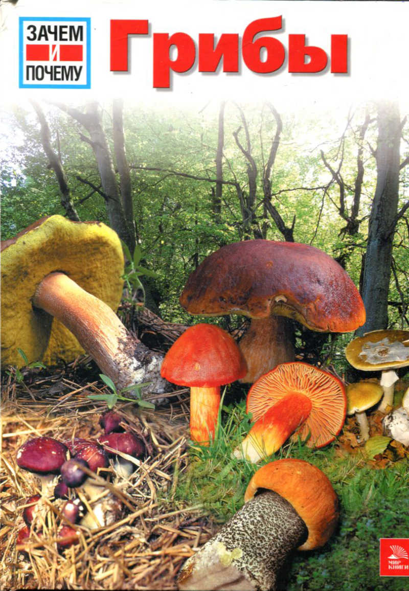 Книги про грибы для детей