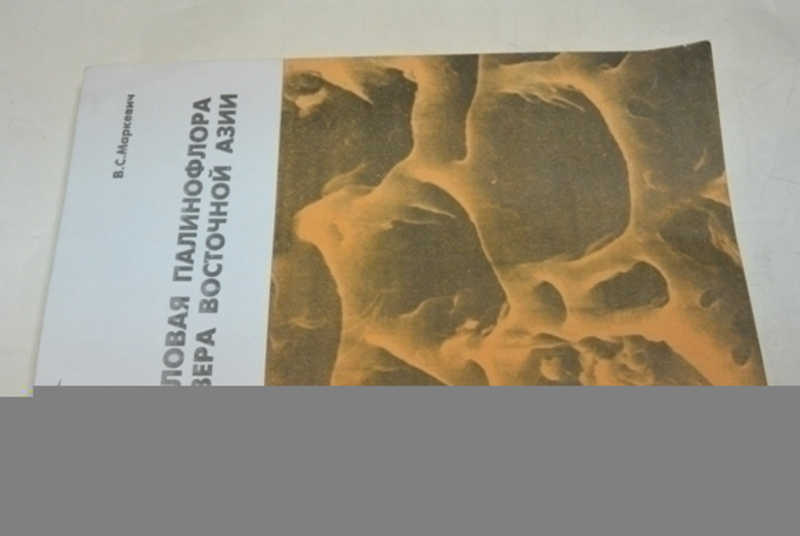 Меловая палинофлора севера Восточной Азии