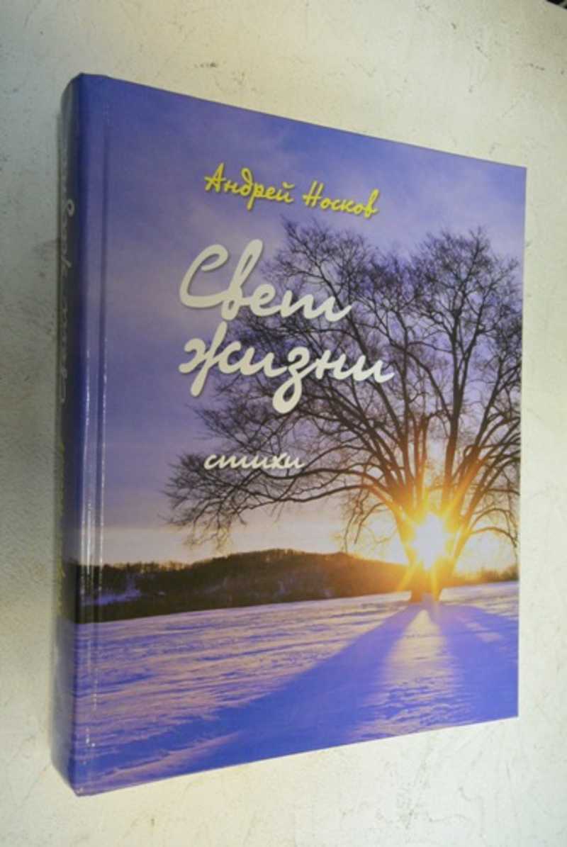 Свет жизни. Стихи 2008-2012 годы