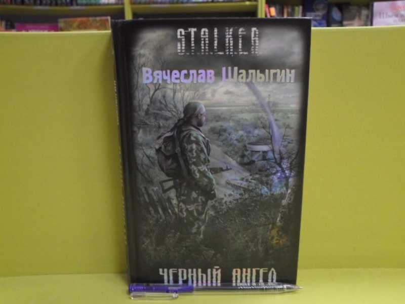 Черный ангел аудиокнига. Книга чёрный ангел ангел. Ангел детектив. Кучкина любовь и жизнь как сестры. L.
