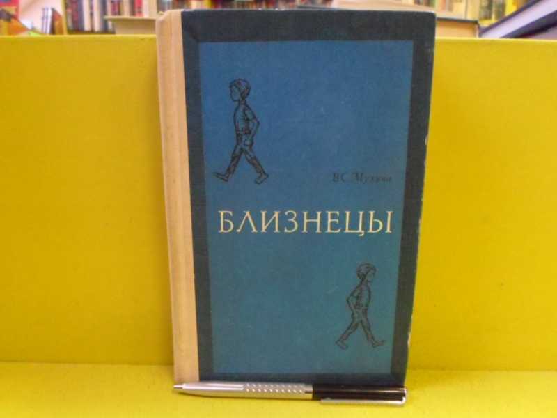 Книга: Близнецы (Дневник-летопись жизни близнецов от рождения до 7 лет ...