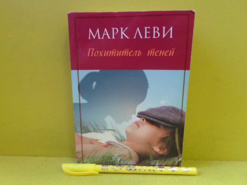 книга похититель теней
