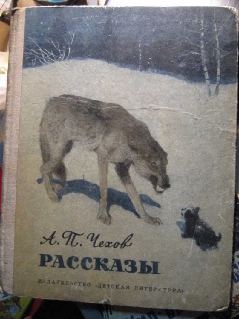 Рассказы