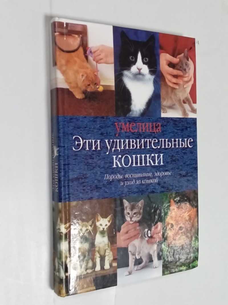 Эти удивительные кошки