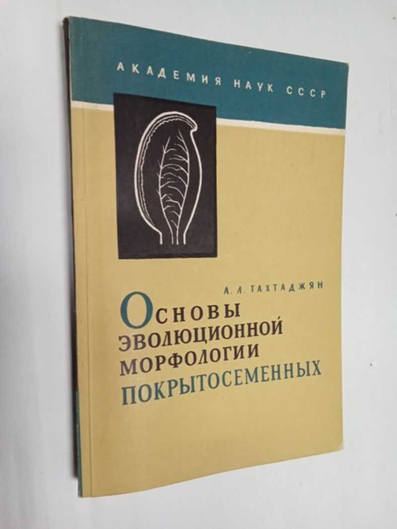 Основы эволюционной морфологии покрытосеменных