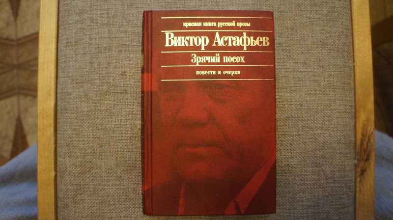 зрячий посох картинки. виктор астафьев зрячий посох. астафьев виктор петрович автограф. автограф виктора астафьева. виктор петрович астафьев печальный детектив.