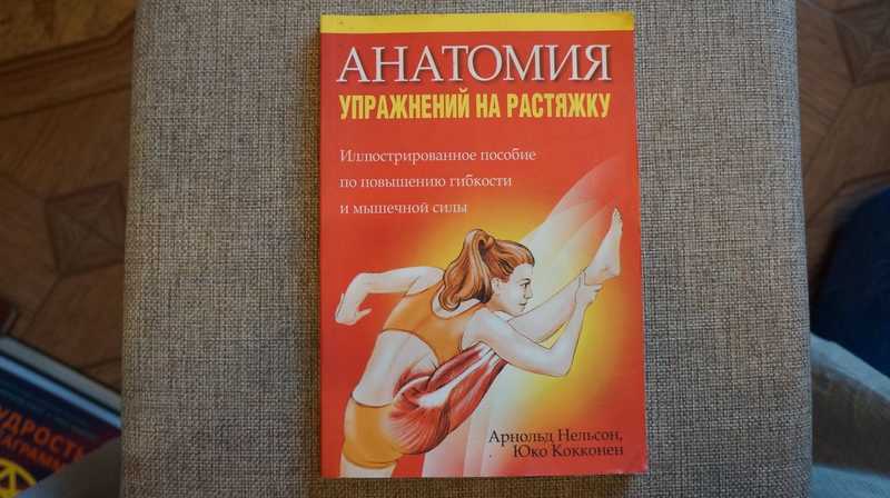 Анатомия упражнений на растяжку