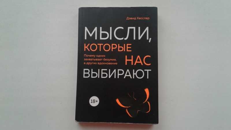 Мысли которые нас выбирают почему одних захватывает безумие а других вдохновение кесслер дэвид а