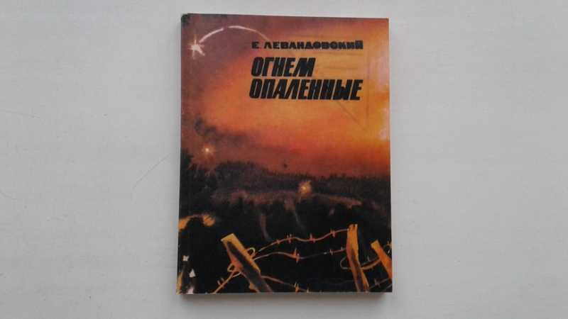 Железное пламя книга. Железное пламя книга на русском. Железное пламя книга обложка. Железное пламя немецкое издание.