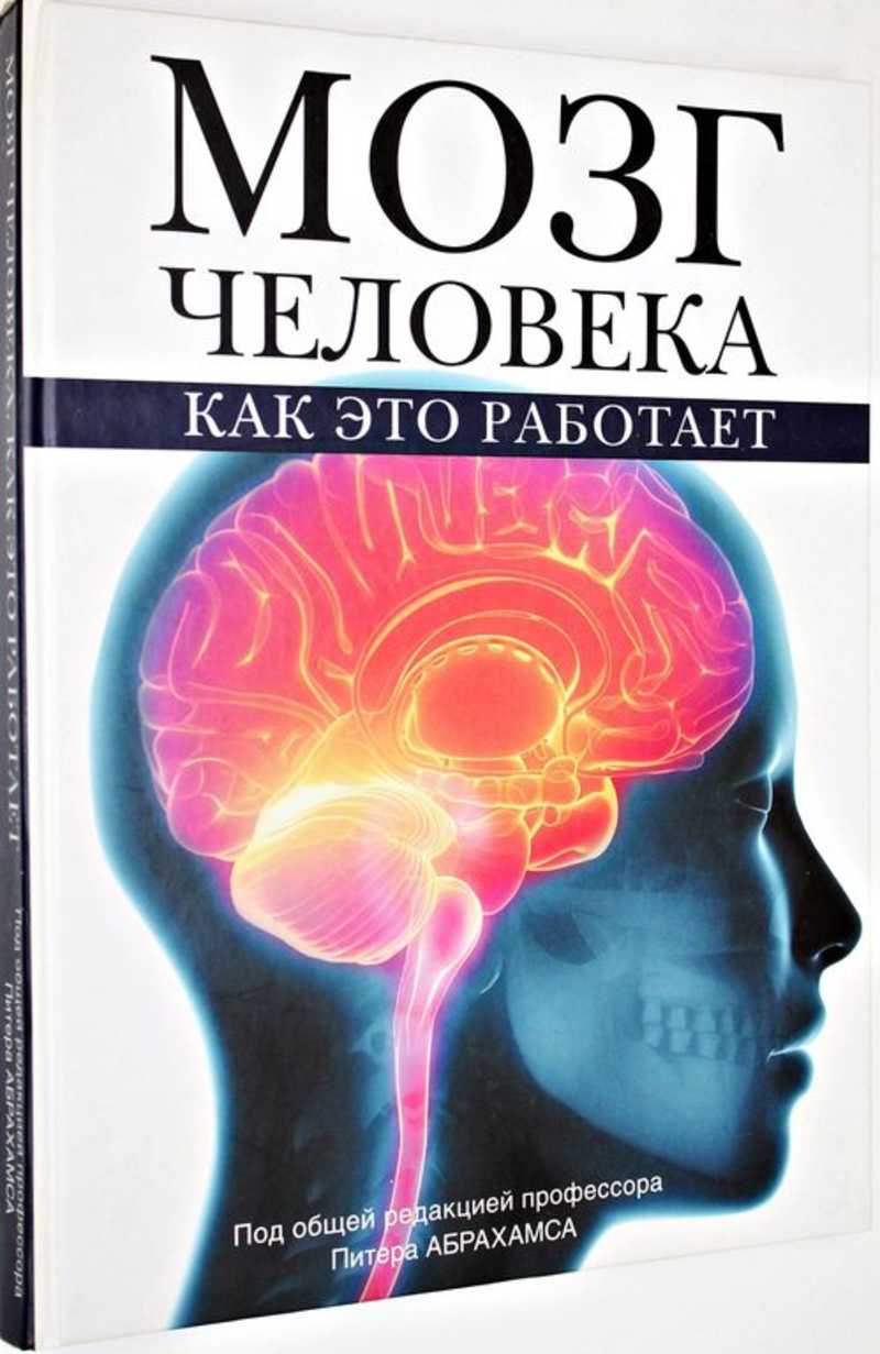 Книги мозг детей. Книга мозг. Питер Абрахамс мозг человека книга. Книга на обложке мозг человека. Мозг человека книга для детей.