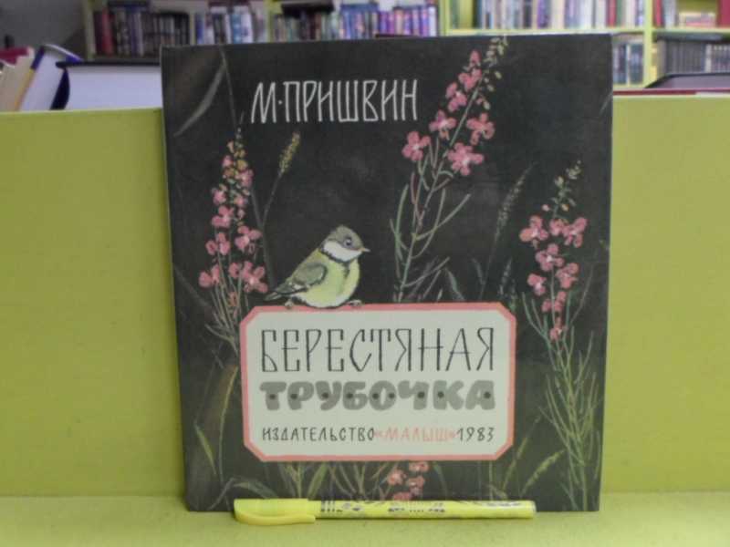 М пришвин берестяная трубочка читать текст полностью. Пришвин берестяная трубочка. Рисунок к рассказу берестяная трубочка карандашом.