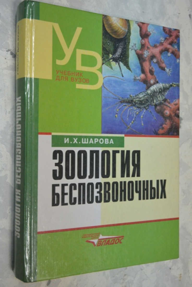 Книга: Зоология Беспозвоночных Купить за 1500.00 руб.