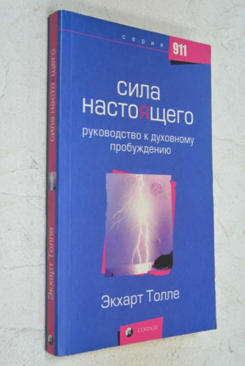 Голос тишины книга