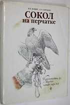 фото - предпросмотр