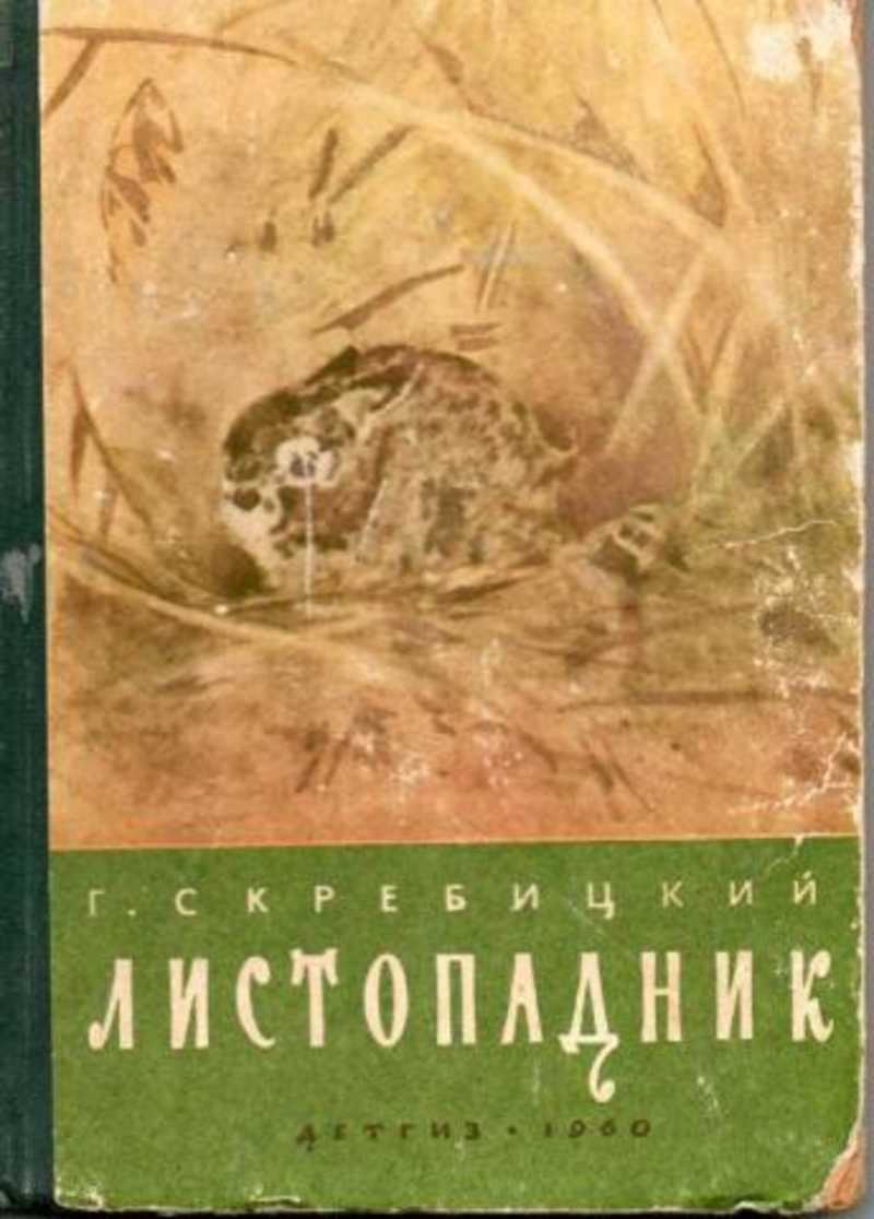 Скребицкий рассказы. Георгий Скребицкий Листопадник. Листопадник Скребицкий 1960. Г.Скребицкий «рассказы летопадник. Скребицкий Георгий книги книги.