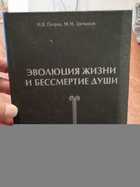 Фото - предпросмотр