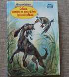 фото - предпросмотр