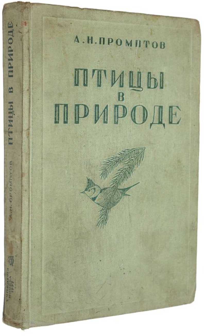 Книга: Птицы в природе Руководство для определения и изучения птиц в  природных условиях. Купить за 800.00 руб.