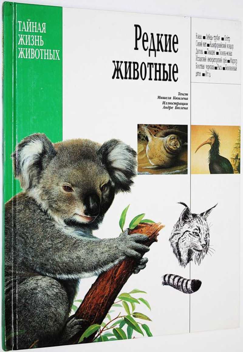 Книга: Редкие животные Серия: Тайная жизнь животных. Купить за 600.00 руб.