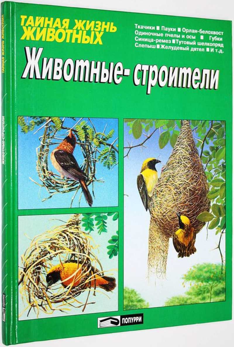 Книга: Животные-строители Серия: Тайная жизнь животных. Купить за 800.00  руб.