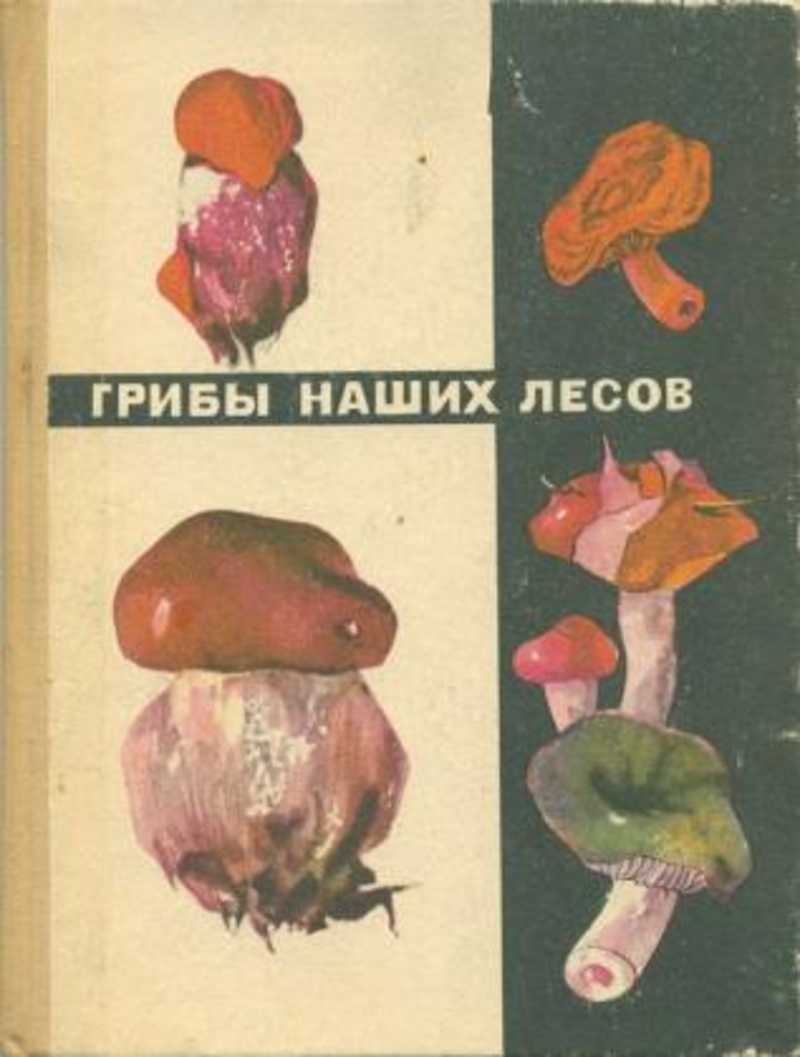 Книжка про грибы. Грибы наших лесов. Советская книга про грибы. Советская книжка про грибы.