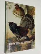 Фото - предпросмотр