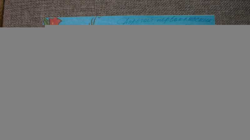 Хоккейный матч. По мотивам мультфильма Матч-реванш