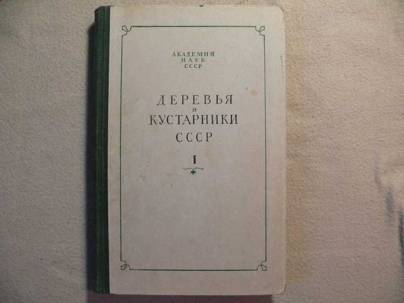 Деревья и кустарники СССР. Том I. Голосеменные