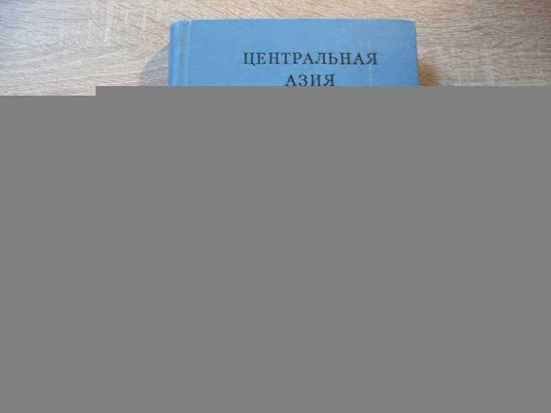Центральная Азия в кушанскую эпоху. Труды международной конференции по истории, археологии и культуре Центральной Азии в Кушанскую эпоху. Том II