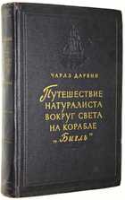 фото - предпросмотр