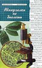 Обложка - предпросмотр