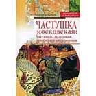 Обложка - предпросмотр