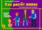 Обложка - предпросмотр
