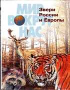 Обложка - предпросмотр